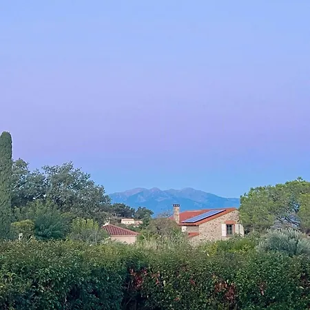 French Idyll In Authentic Village * Villelongue-dels-Monts